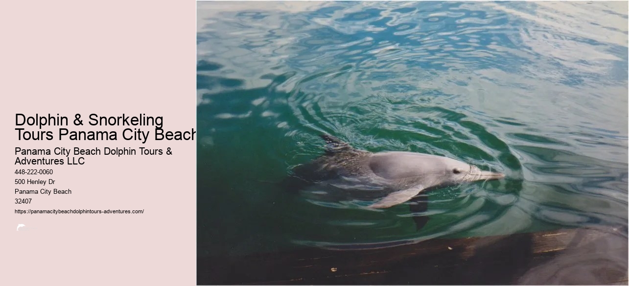 Panama City Beach Snorkeling Tour