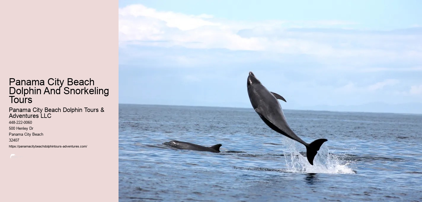 Snorkeling In Panama City Beach Florida