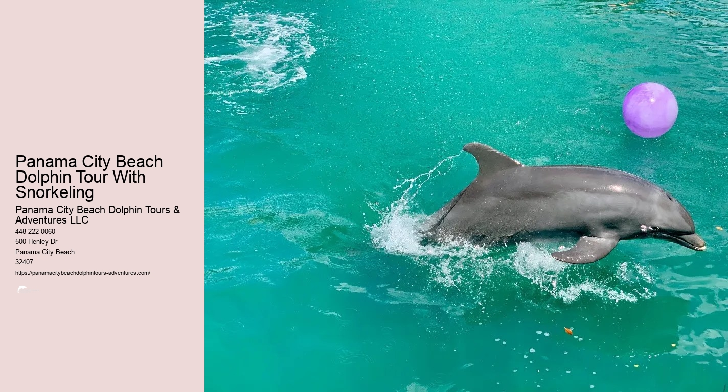 Dolphin And Snorkeling Tours Panama City Beach Fl