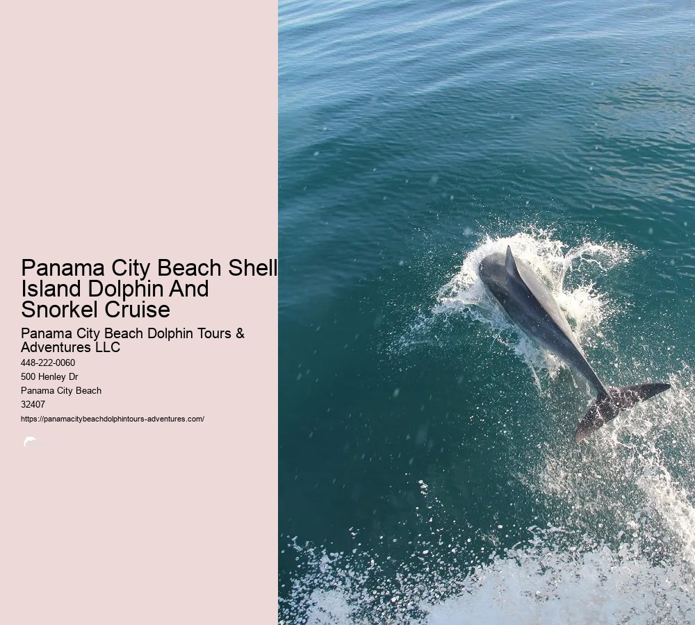 Panama City Beach Shell Island Dolphin And Snorkel Cruise