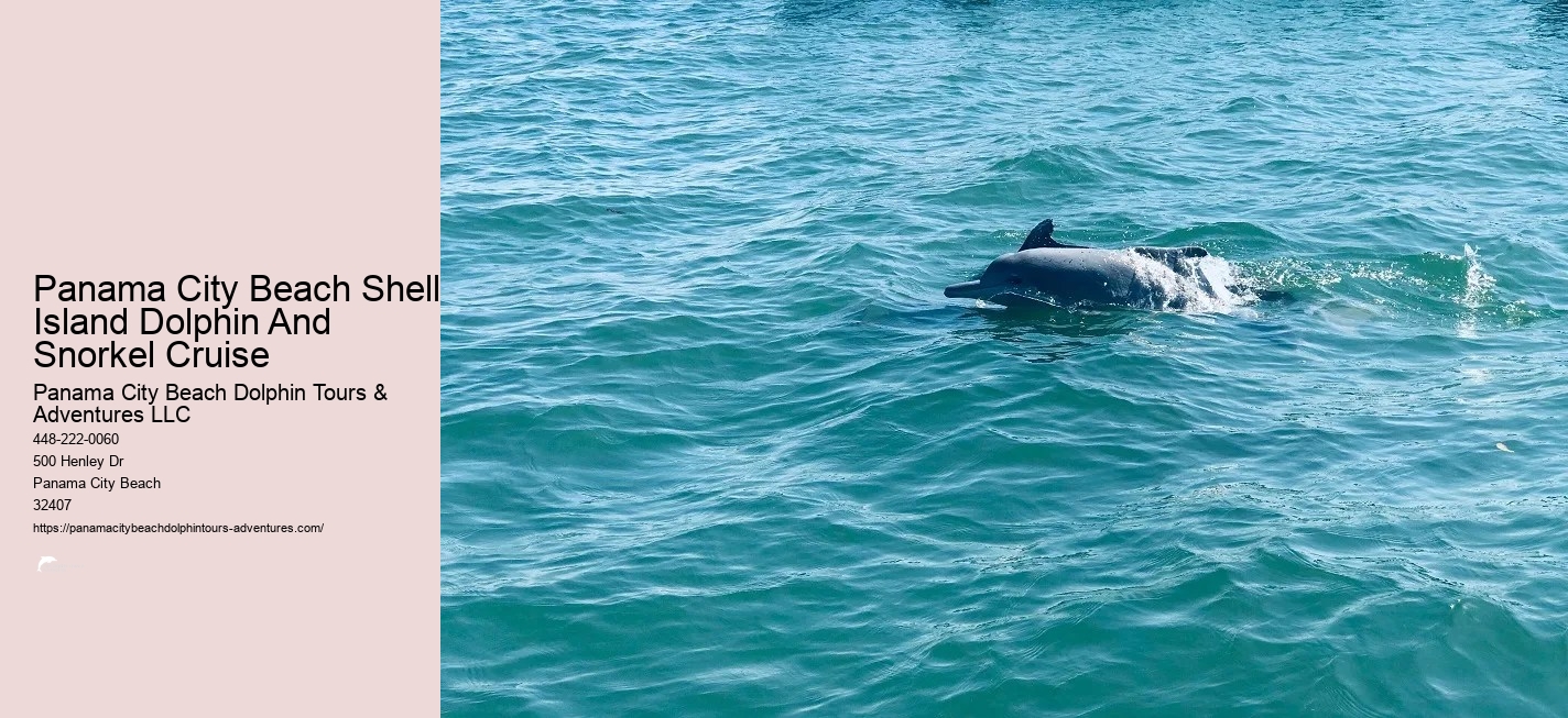 Dolphin & Snorkeling Tours Panama City Beach