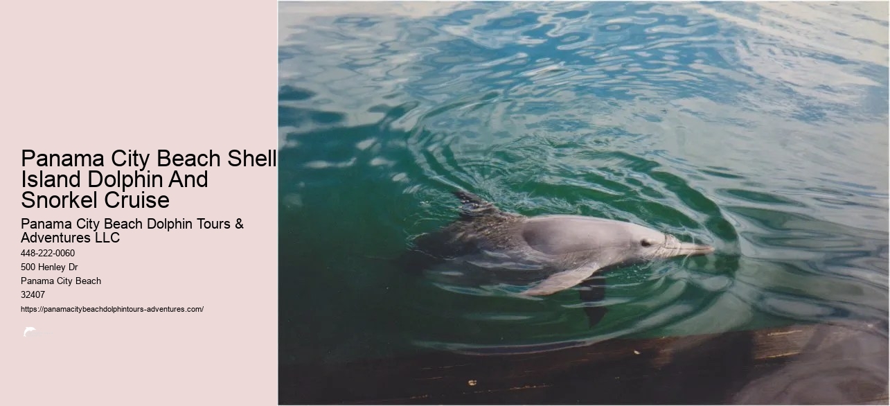 Panama City Beach Dolphin Tour With Snorkeling