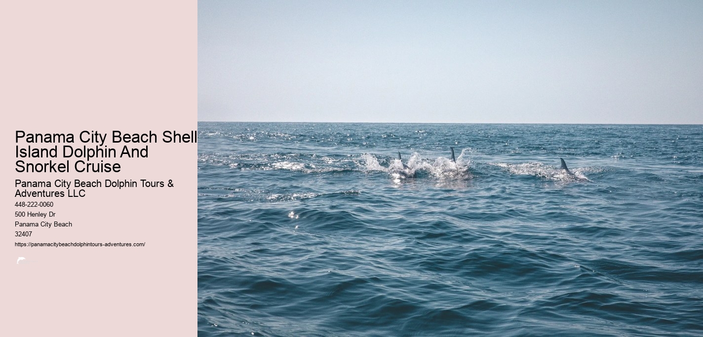 Panama City Beach Shell Island Dolphin And Snorkel Cruise