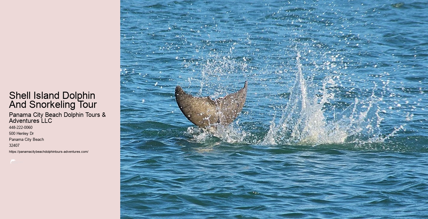 Snorkeling In Panama City Beach Florida