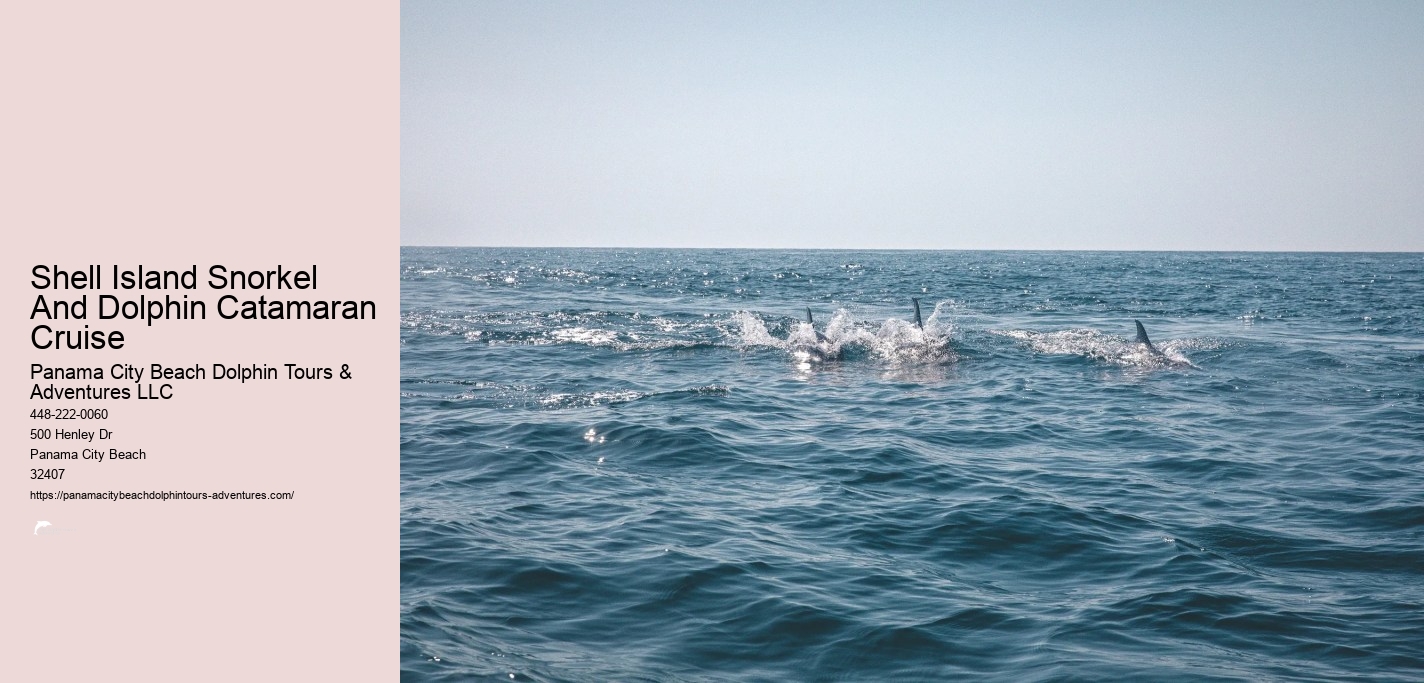 Dolphin And Snorkeling Tours Panama City Beach