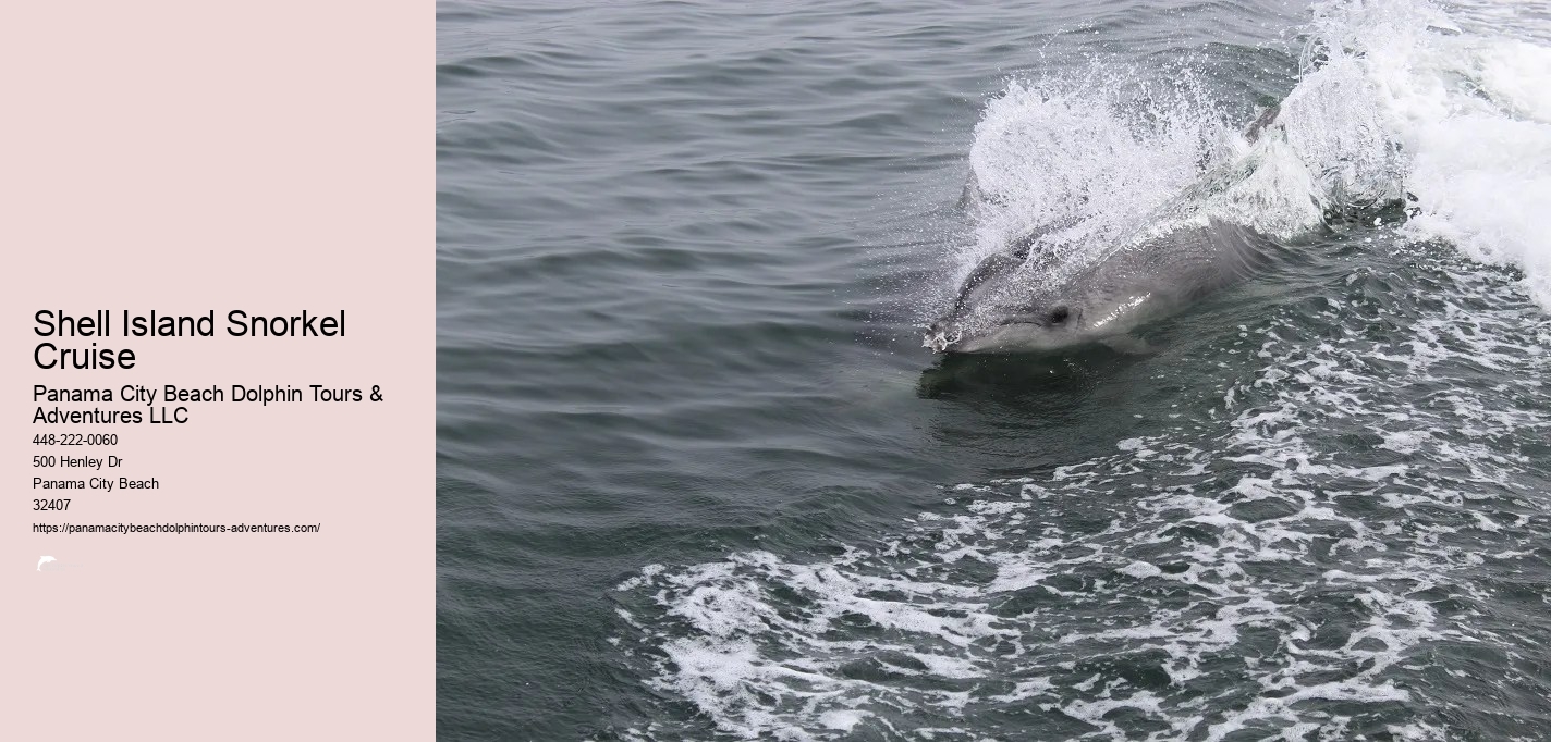 Snorkeling Tours In Panama City Beach Fl