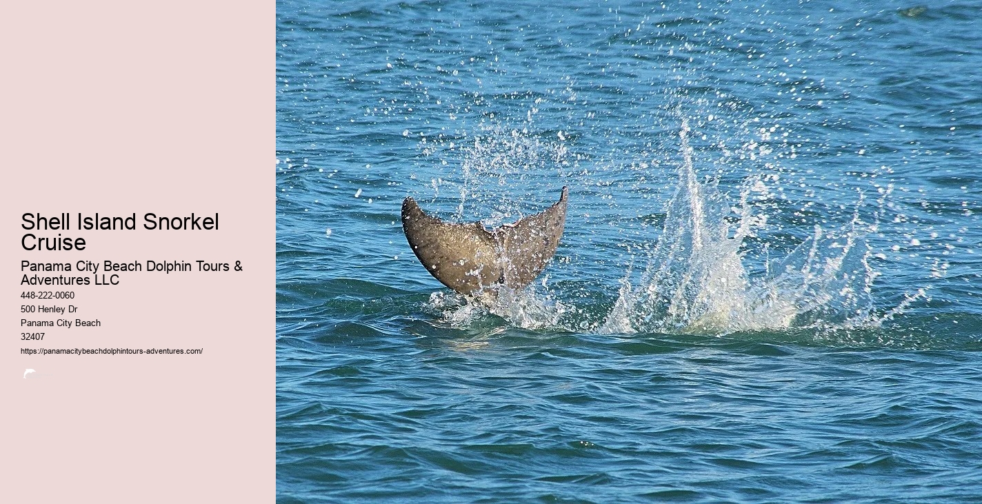 Snorkeling Panama City Beach