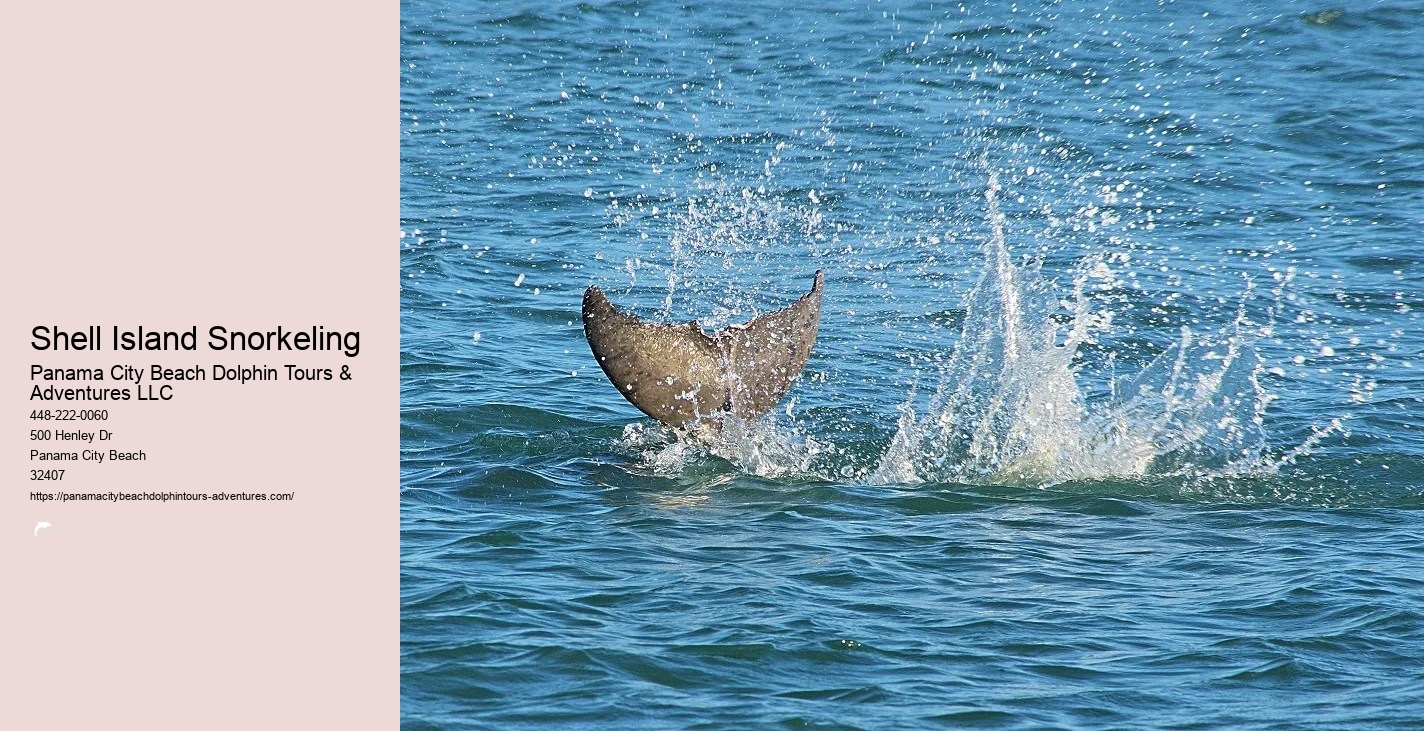 Panama City Beach Snorkeling Tour