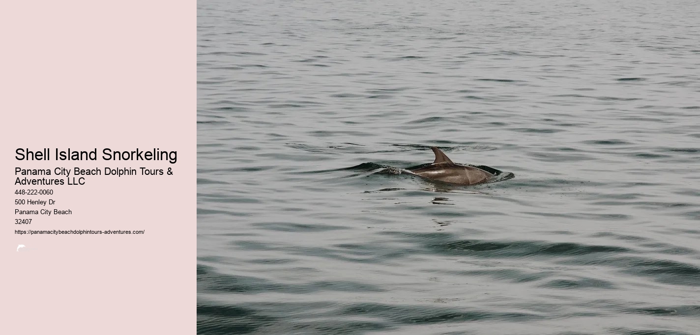 Shell Island Snorkel Cruise