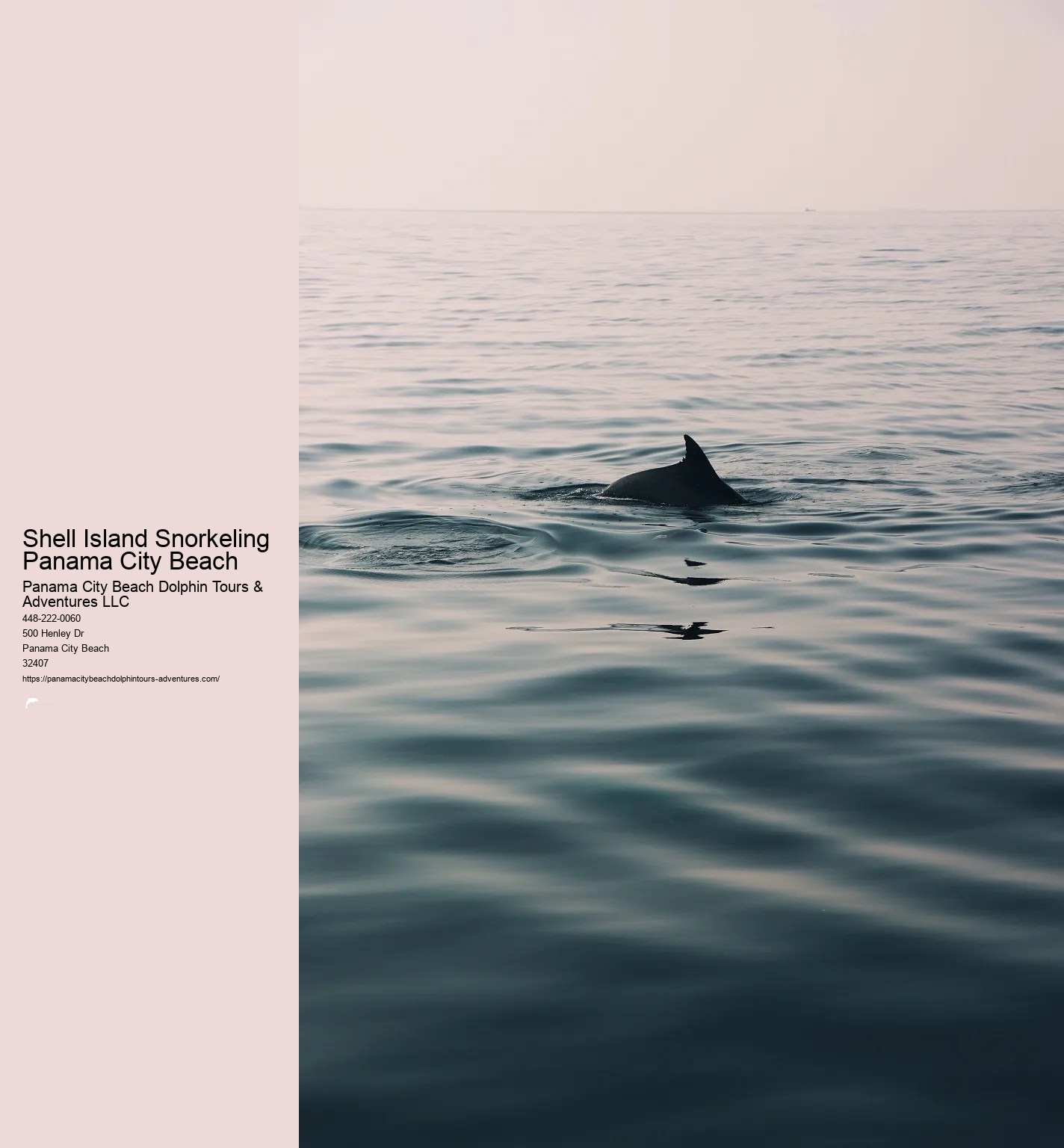 Shell Island Dolphin And Snorkeling Tour