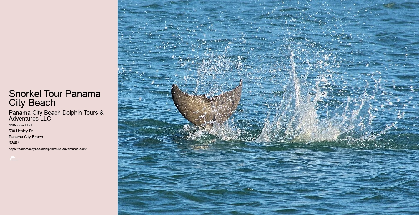 Snorkeling Panama City Beach