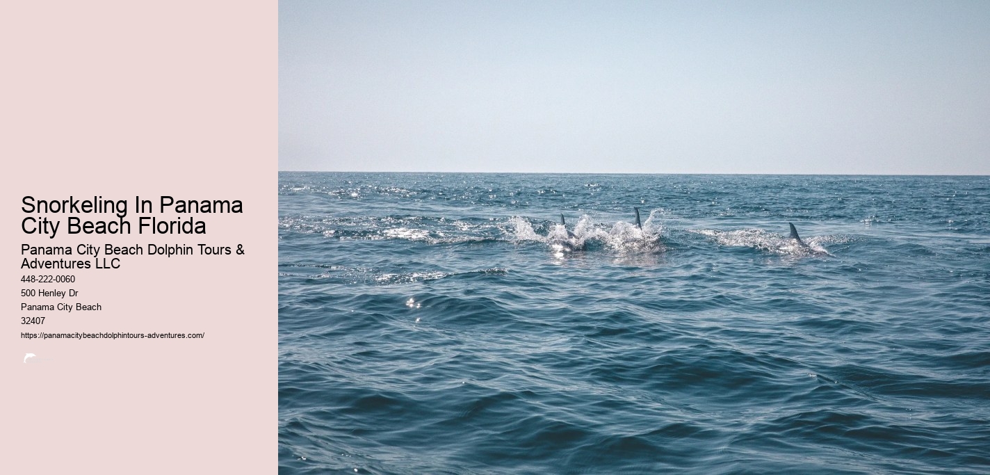 Panama City Beach Shell Island Dolphin And Snorkel Cruise