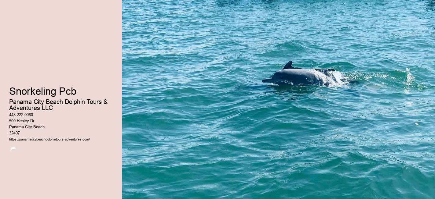 Snorkeling Tours Panama City Beach