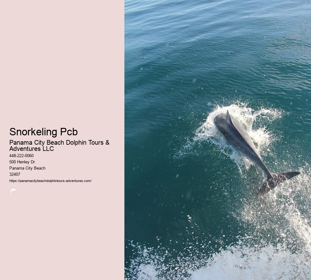 Panama City Beach Snorkeling Tours