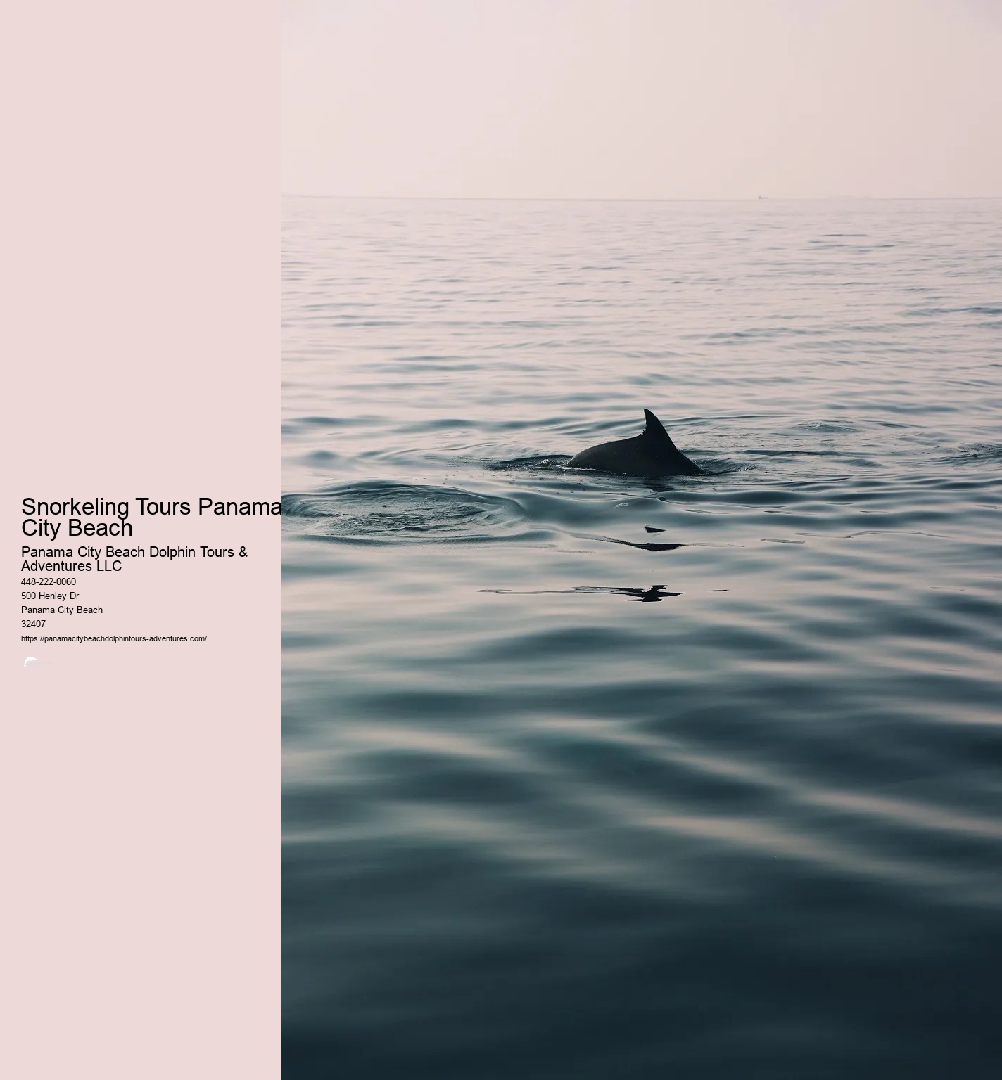 Shell Island Snorkeling Panama City Beach