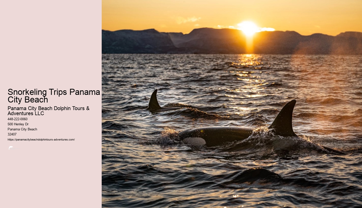 Panama City Beach Snorkeling Tour