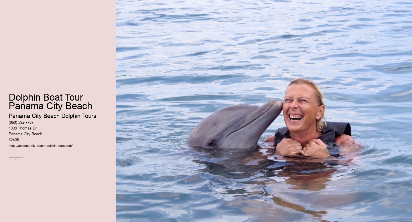 Panama City Beach Dolphin And Snorkeling Tours