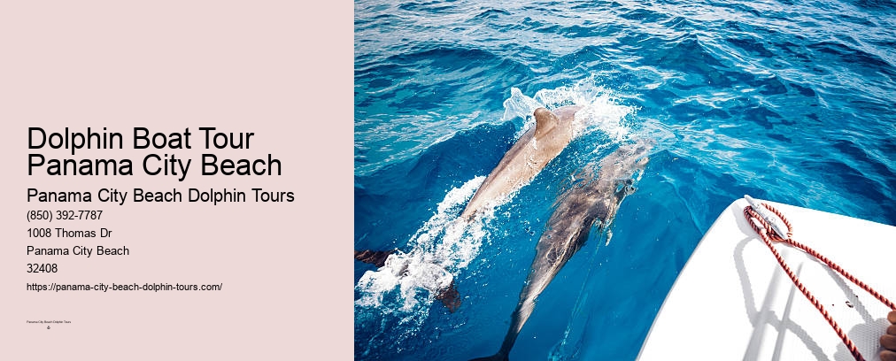 Dolphin & Snorkeling Tours Panama City Beach