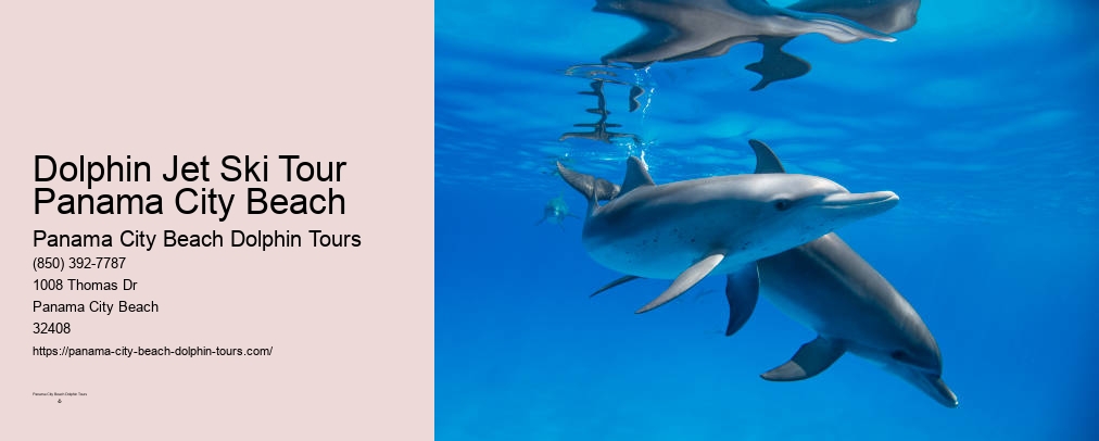 Dolphin & Snorkeling Tours Panama City Beach