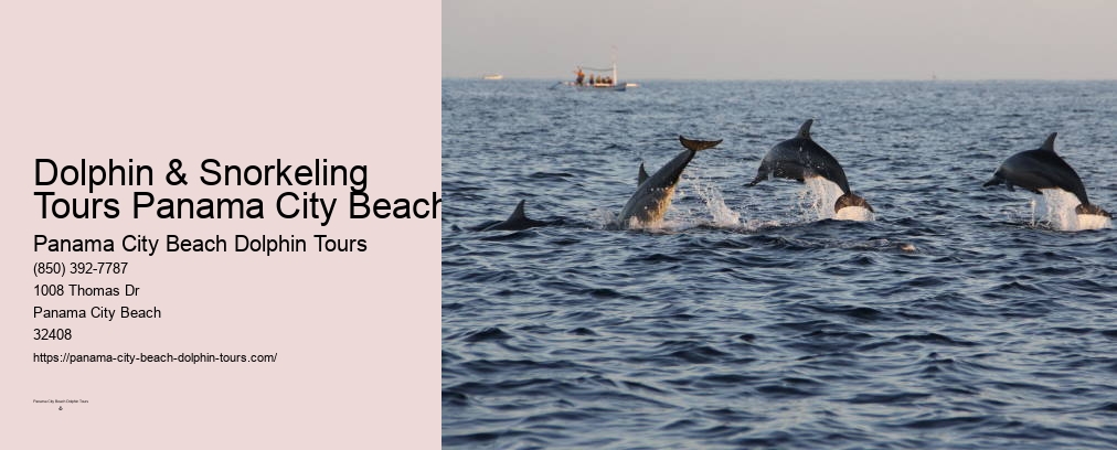 Dolphin Boat Tours Panama City Beach Fl