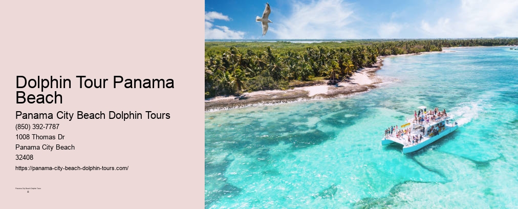 Dolphins Panama City Beach