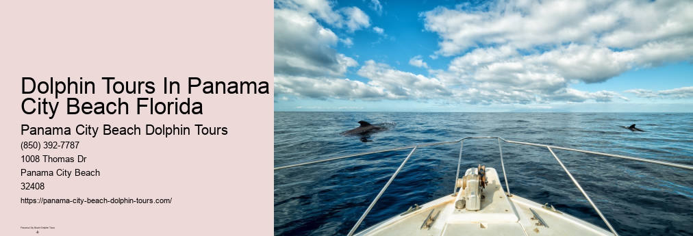 Panama City Beach Dolphin Tours
