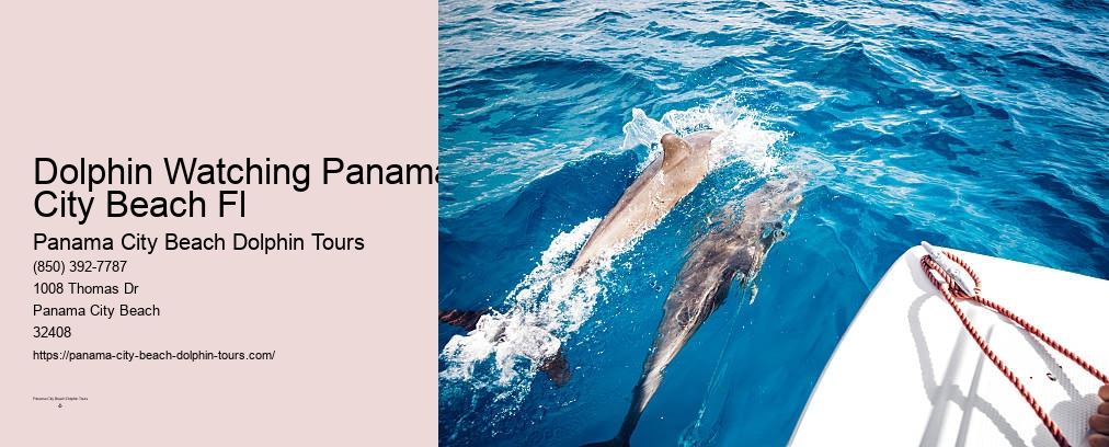 Dolphin & Snorkeling Tours Panama City Beach