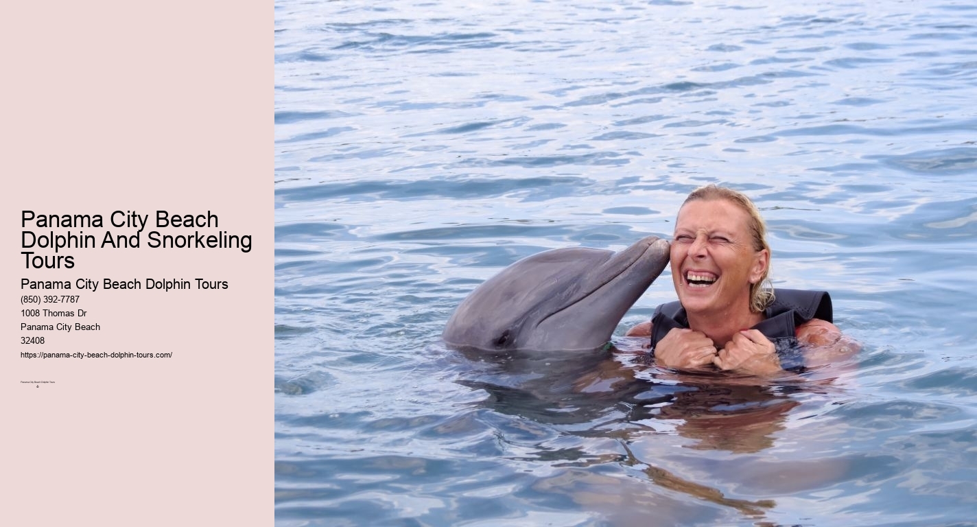 Panama City Beach Dolphin And Snorkeling Tours