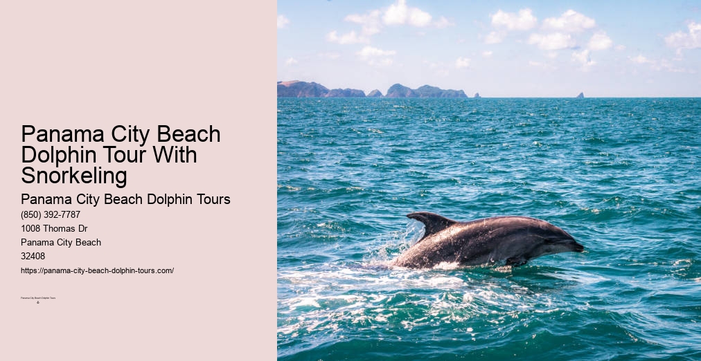 Dolphin Tours Panama City Beach