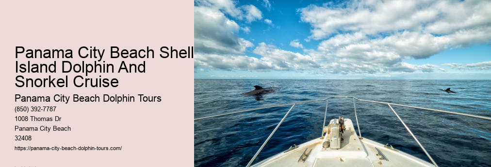 Snorkeling Panama City Beach