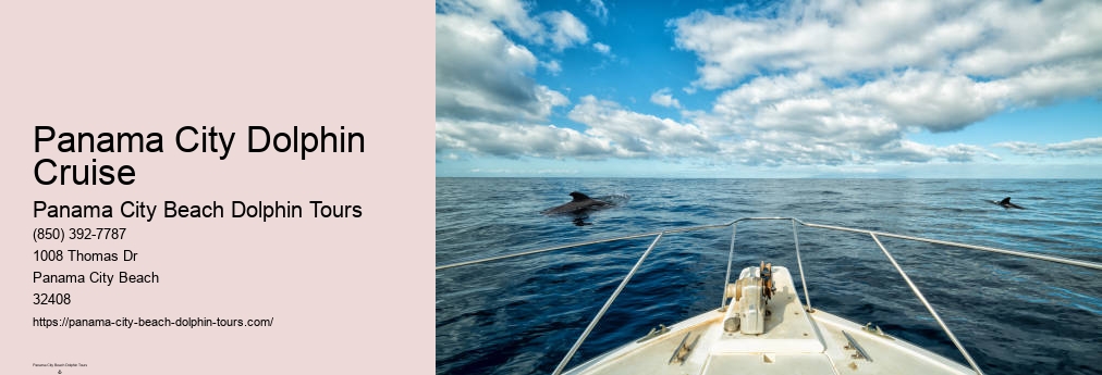 Dolphin Encounters Panama City Beach