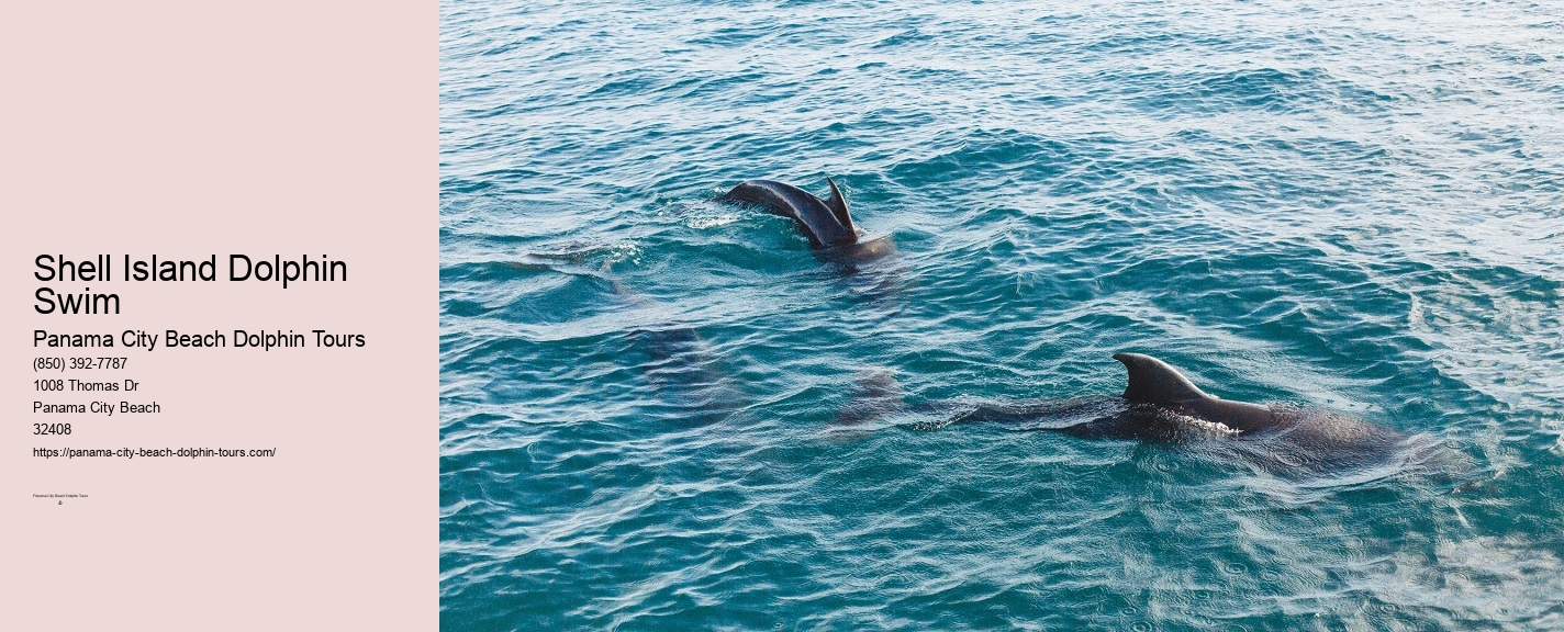 Pcb Dolphin Tours