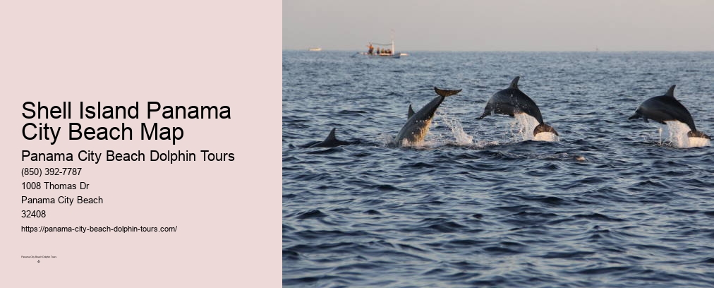 Dolphin Jet Ski Tour Panama City Beach