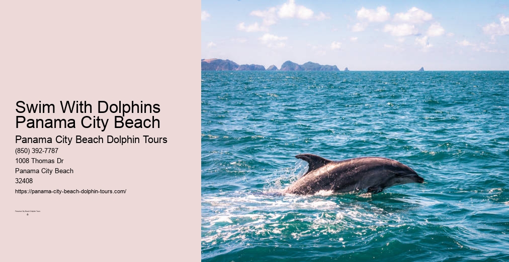 Panama City Beach Dolphin Show