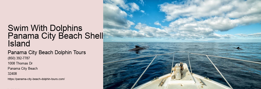 Sunset Dolphin Cruise Panama City Beach