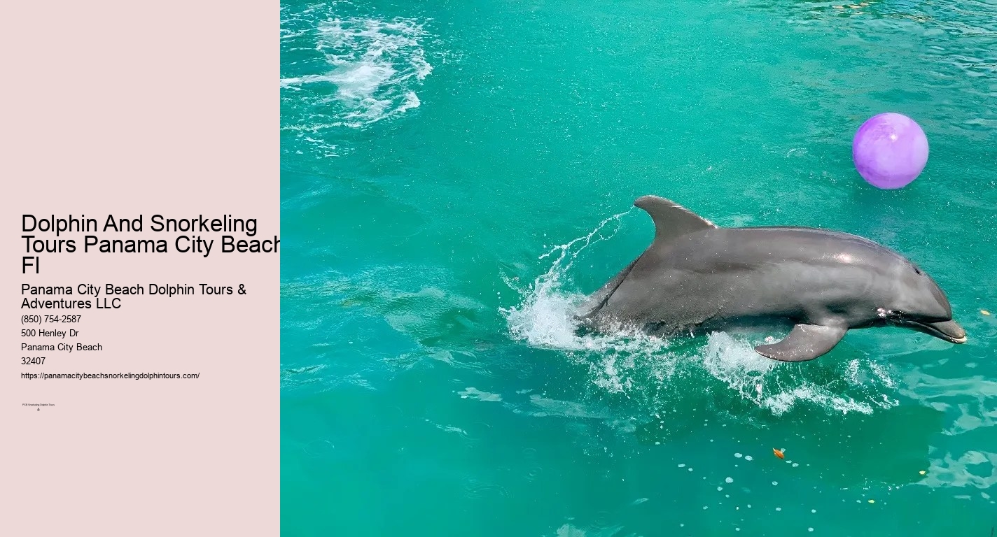 Panama City Beach Dolphin And Snorkel Tours