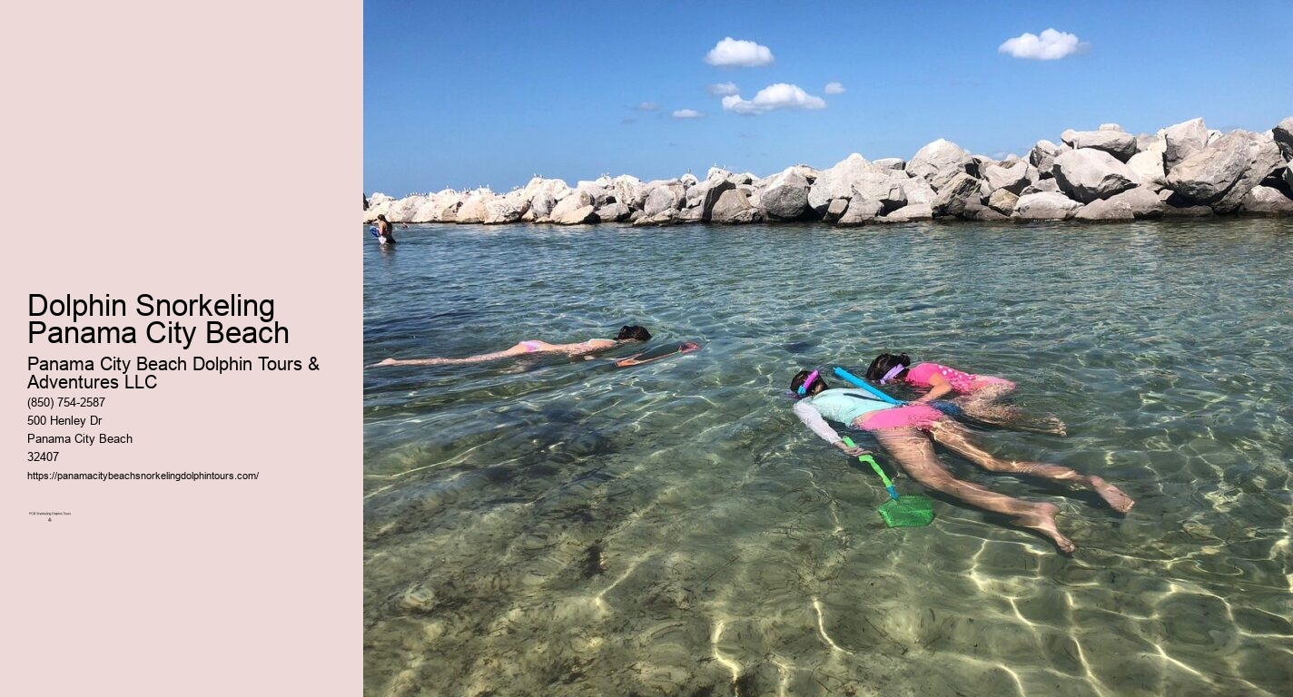 Dolphin & Snorkeling Tours Panama City Beach