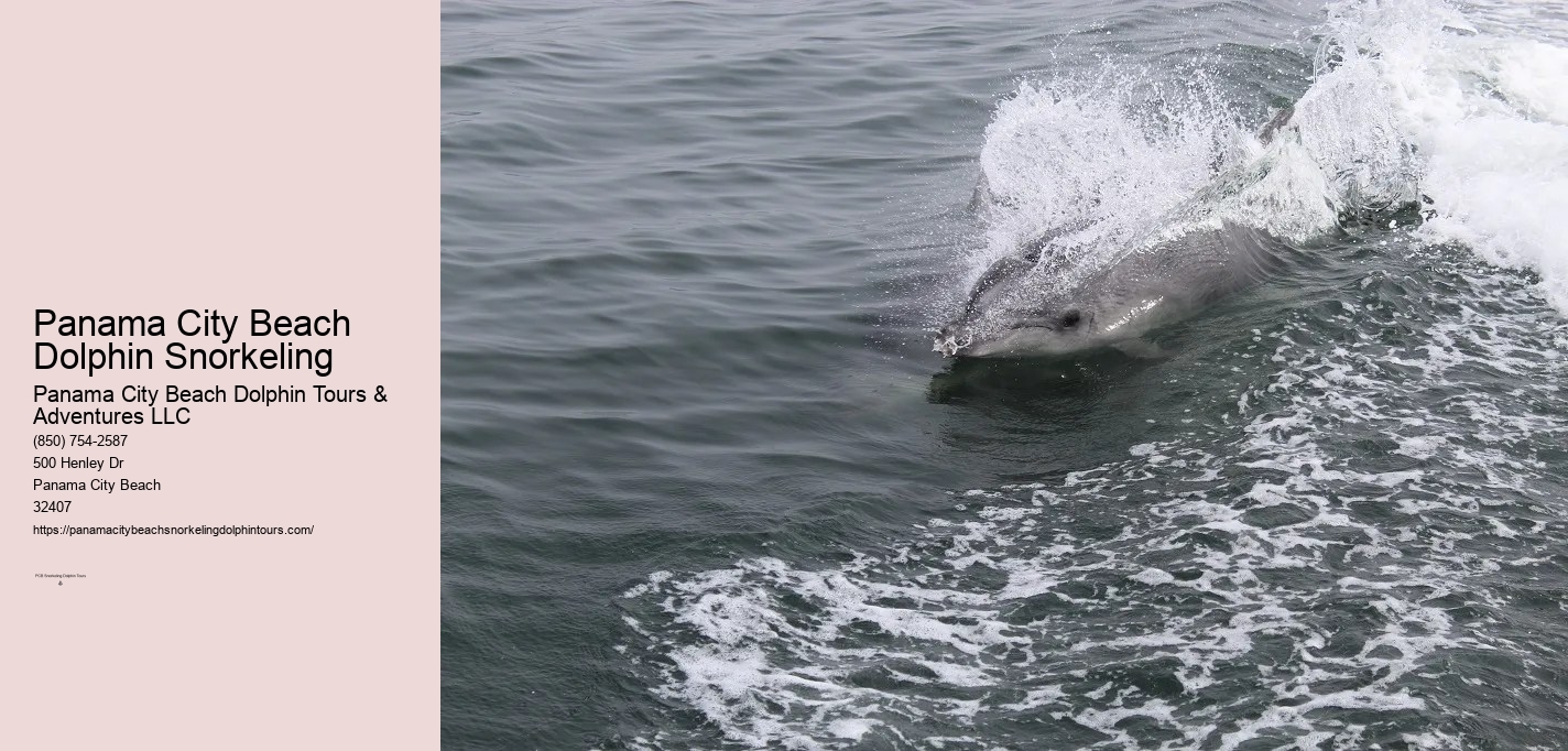 Dolphin & Snorkeling Tours Panama City Beach