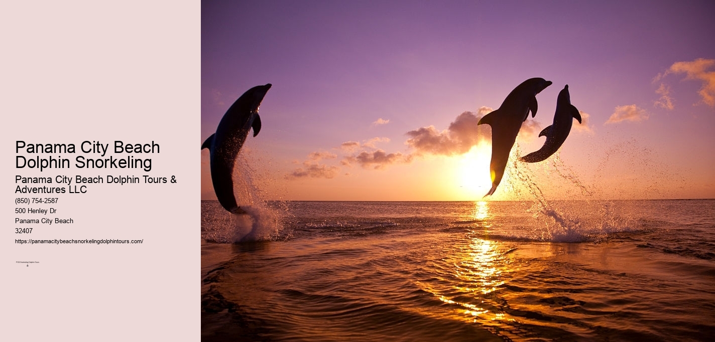 Panama City Beach Dolphin And Snorkel Tours