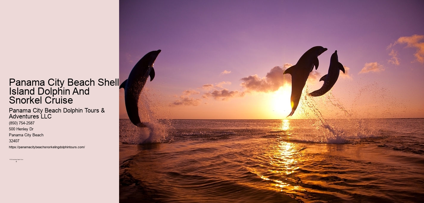 Dolphin And Snorkeling Tours Panama City Beach Fl