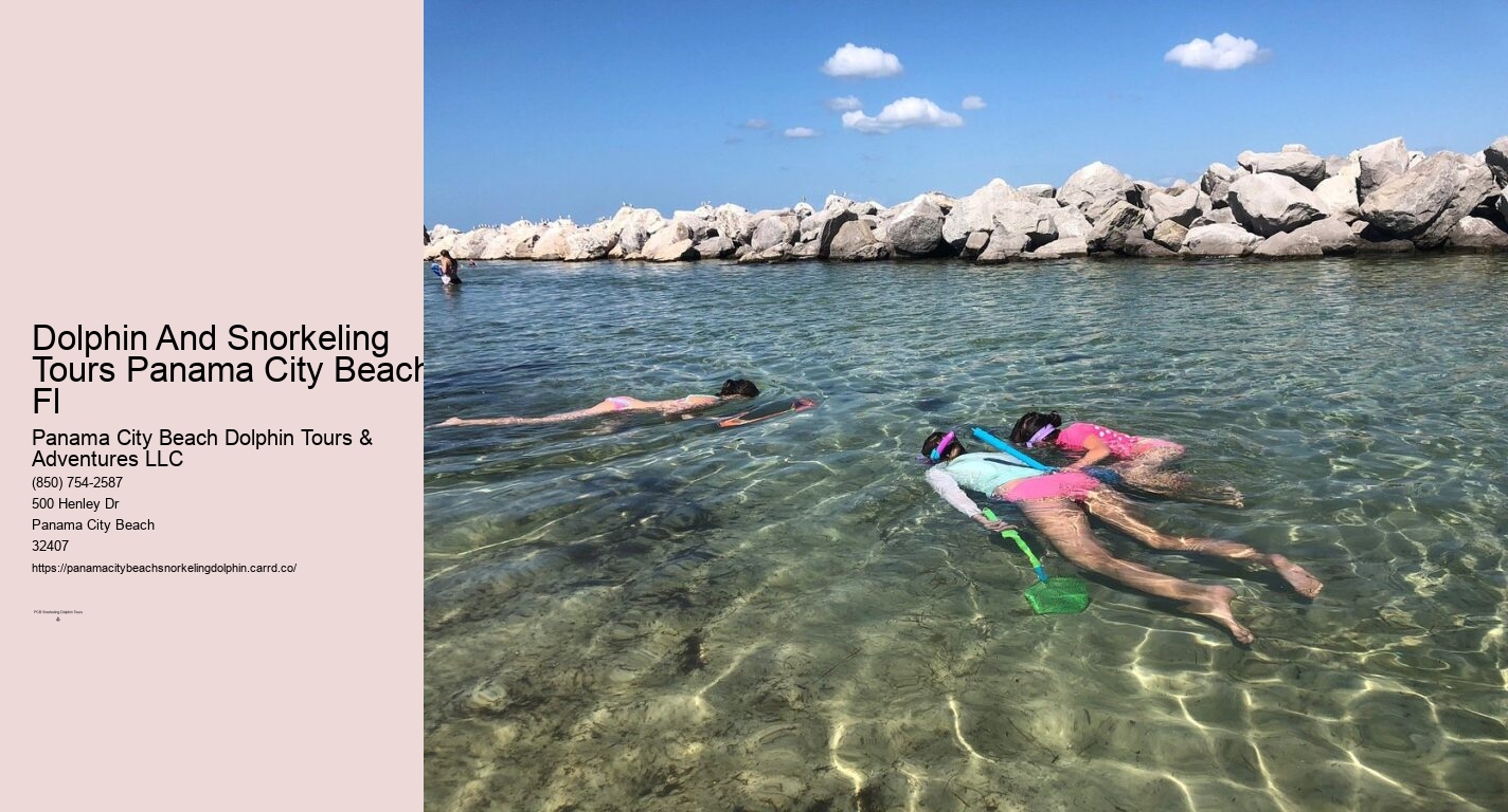 Panama City Beach Dolphin And Snorkel Tours