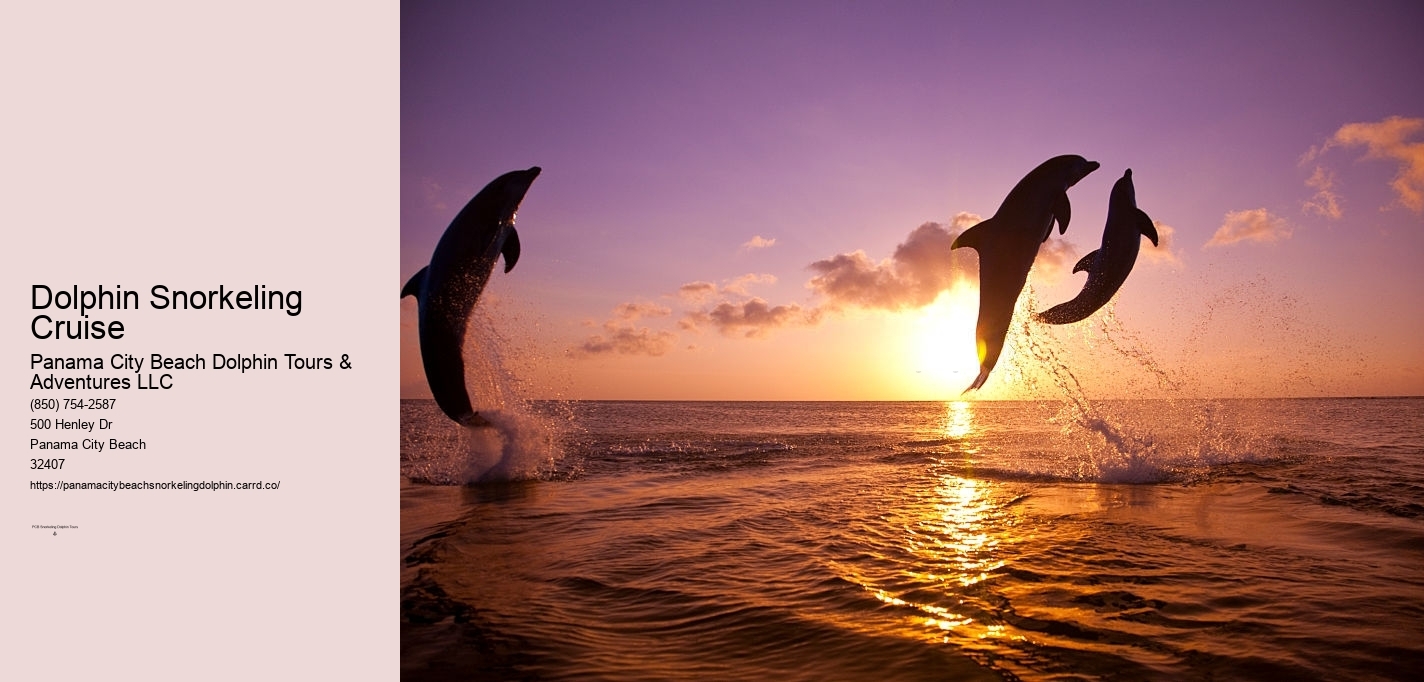 Dolphin Snorkeling Cruise
