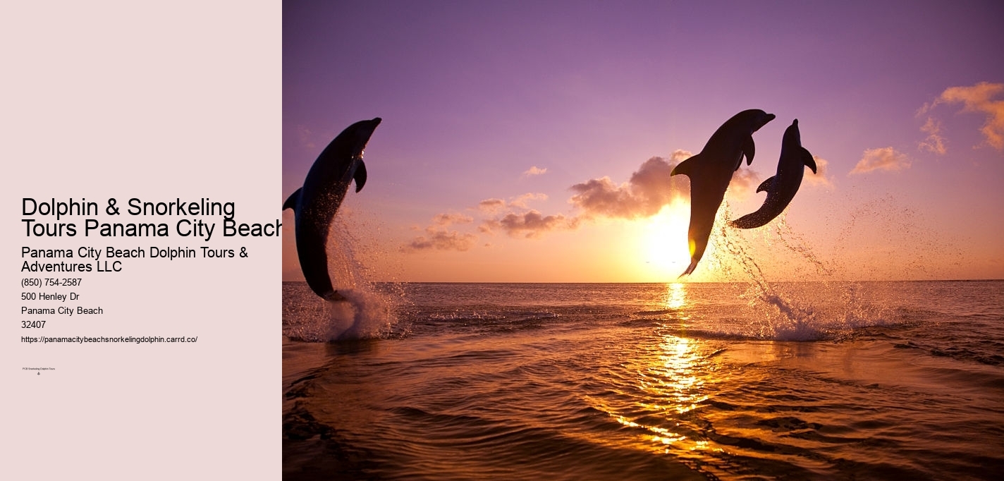 Dolphin & Snorkeling Tours Panama City Beach