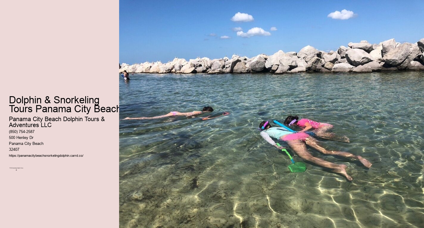 Dolphin And Snorkel Tours Panama City Beach