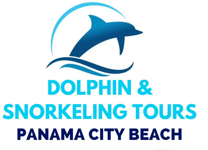 Panama City Beach Swim With Dolphins