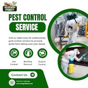 Office Mosquito Control Services