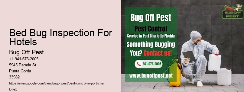 Bed Bug Inspection For Hotels