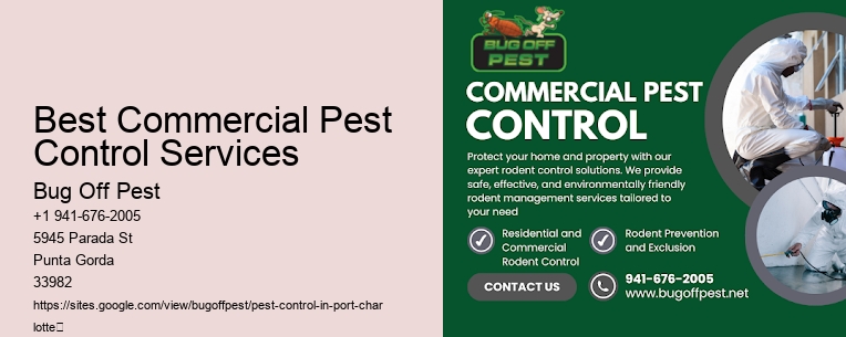 Best Commercial Pest Control Services