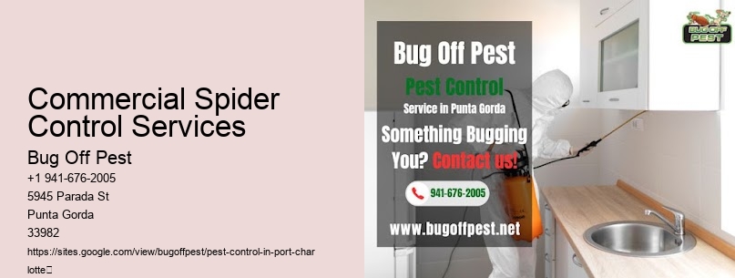 Commercial Spider Control Services