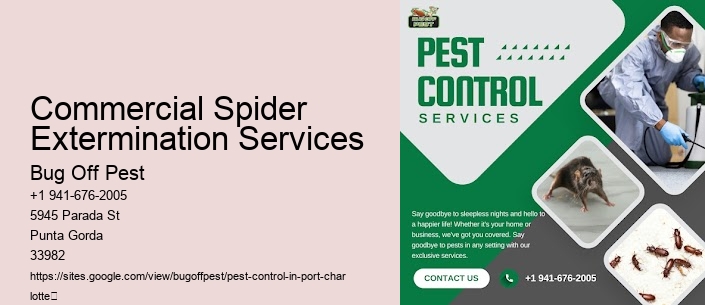 Commercial Spider Extermination Services